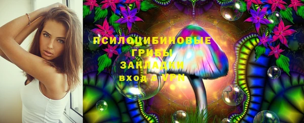 ешки Белоозёрский